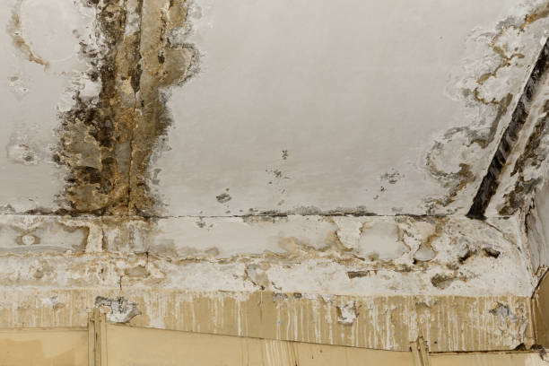 Best Residential water damage restoration  in Martin, SD